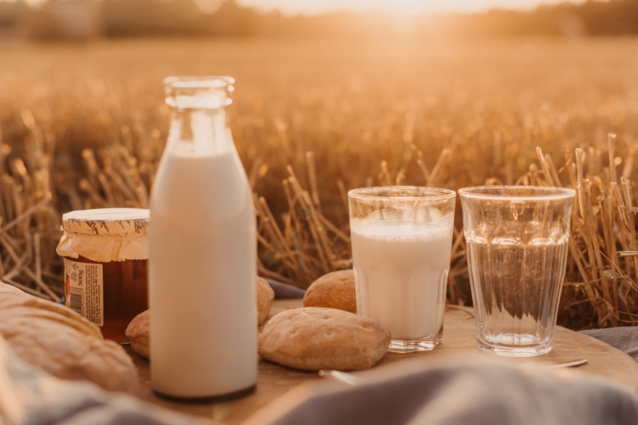 Bottle of milk and glass of milk on blanket in field of wheat
